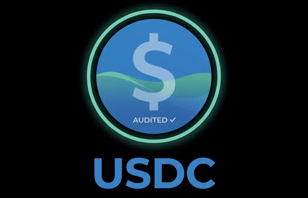 Logo USDC