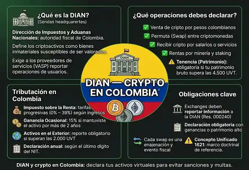 infograf&iacute;a conceptual de DIAN