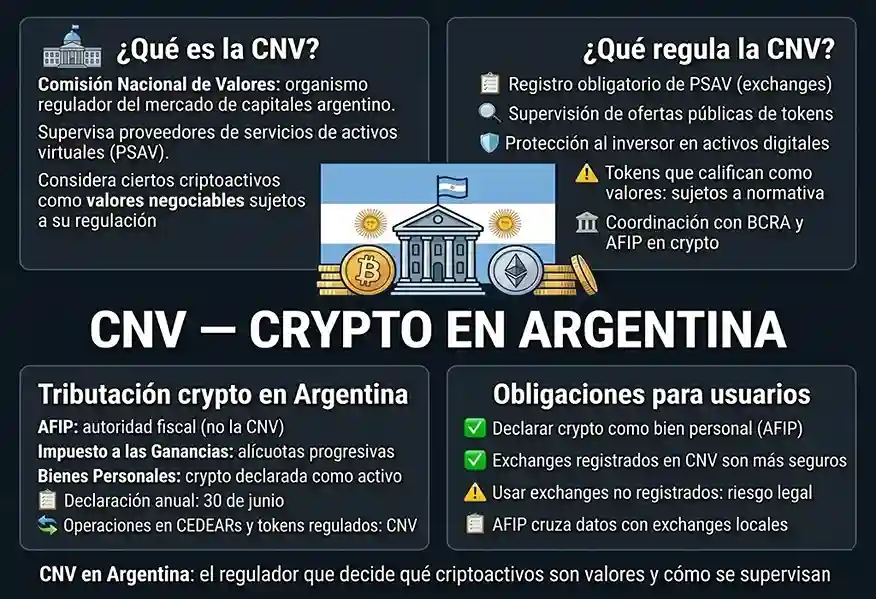 infograf&iacute;a conceptual del t&eacute;rmino CNV