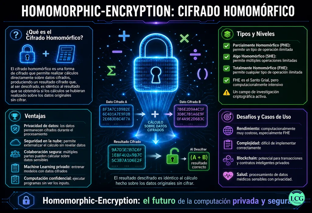 Infograf&iacute;a explicativa sobre Homomorphic Encryption en blockchain y crypto